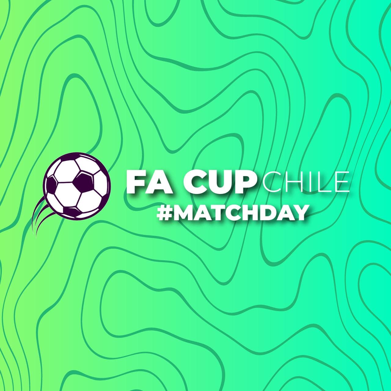 FaCup Santiago Agosto image