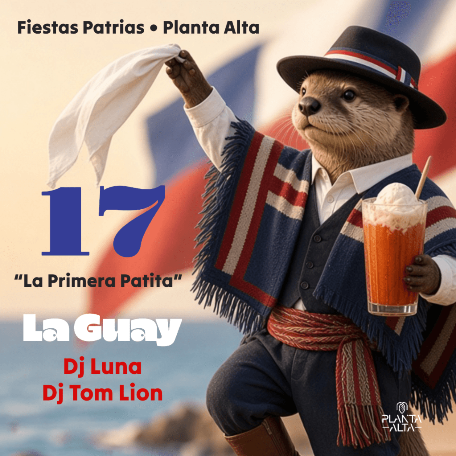 17 en Planta Alta image